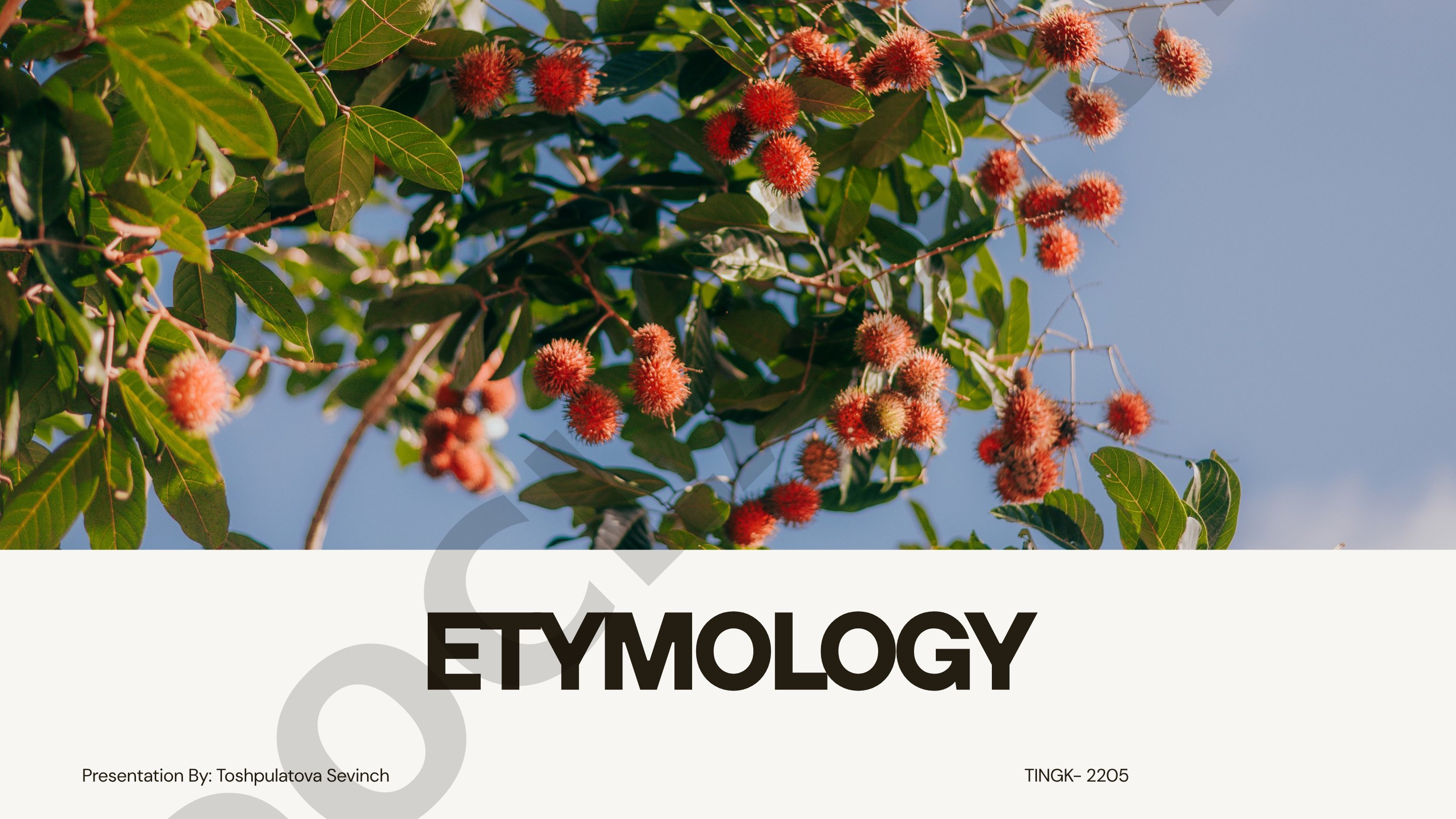Etymology of English Vocabulary: Native and Borrowed Words