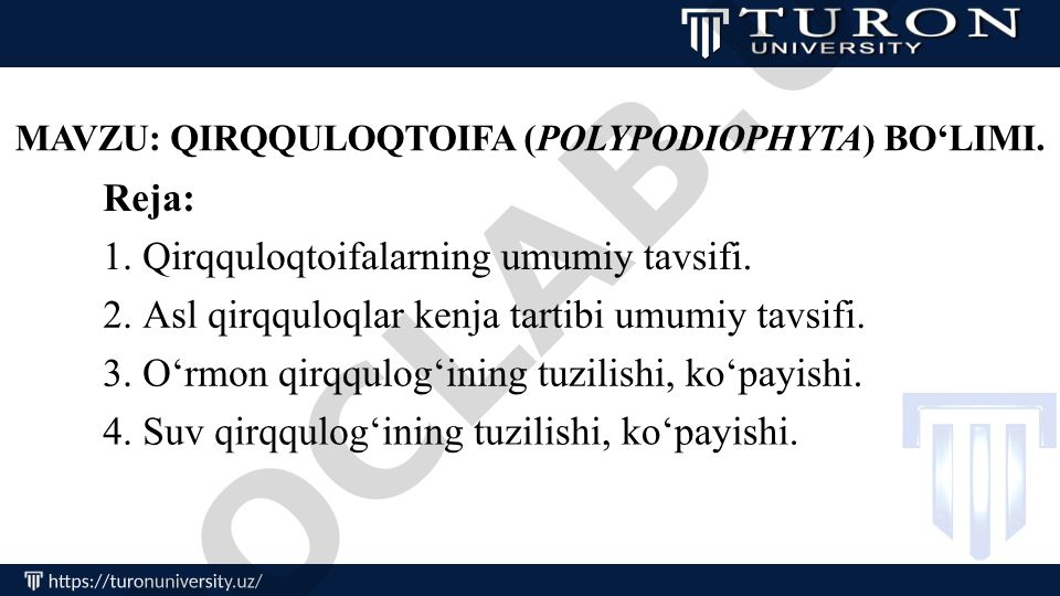 Qirqquloqtoifa (Polypodiophyta) bo'limi