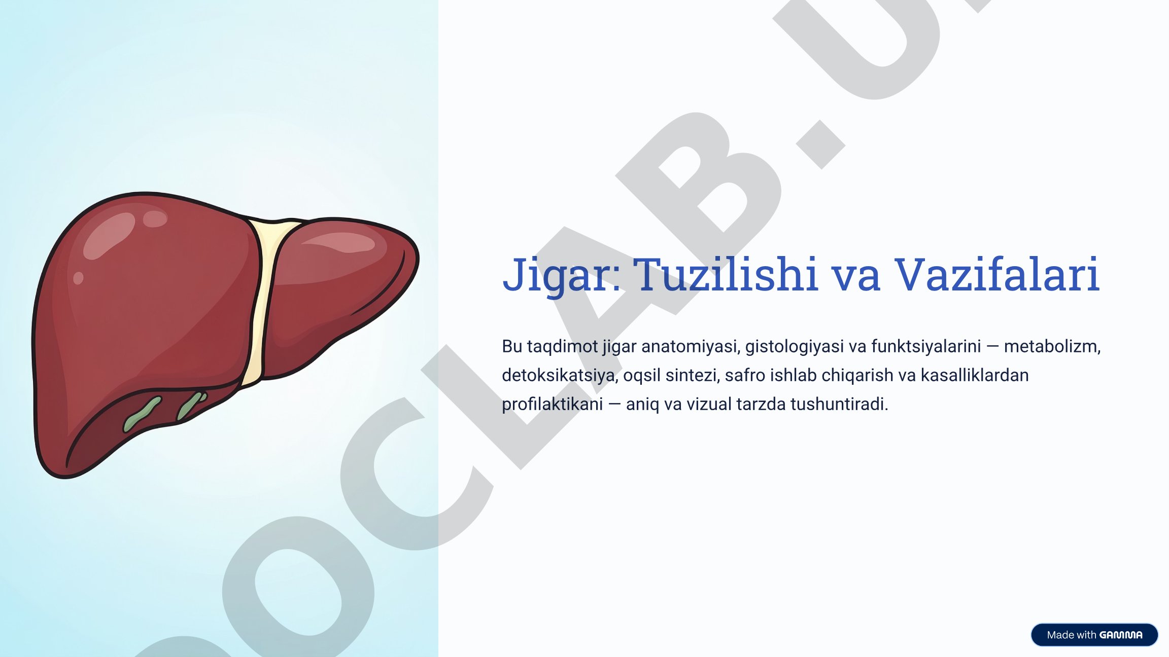 Jigar: Tuzilishi va Vazifalari