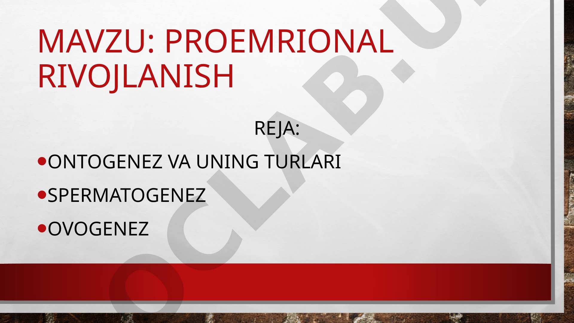 Ontogenez turlari, spermatogenez, ovogenez va lichinkali rivojlanish haqida taqdimot