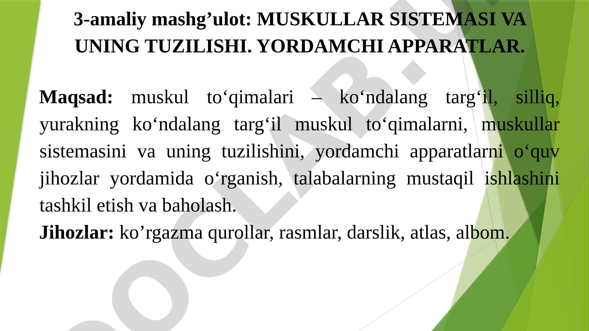Muskullar sistemasi va uning tuzilishi, yordamchi apparatlar