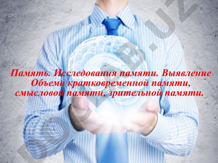 Память: исследования, виды и механизмы