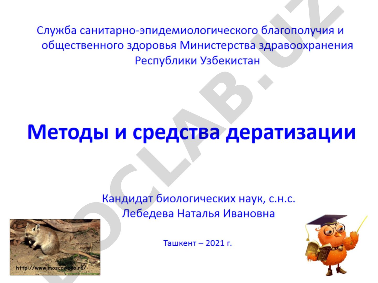 Методы и средства дератизации