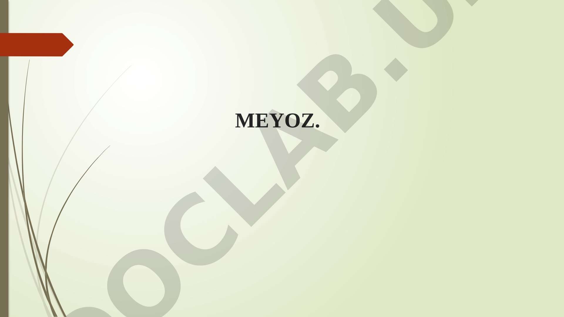 Meyoz jarayoni va uning bosqichlari