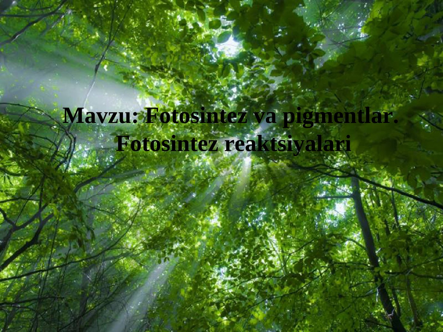 Fotosintez va pigmentlar. Fotosintez reaktsiyalari