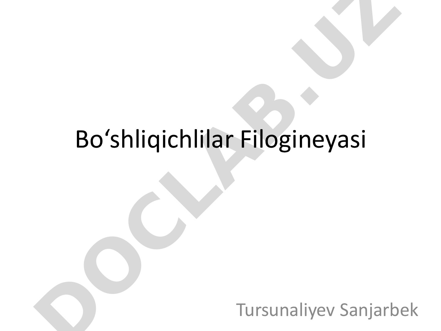 Bo‘shliqichlilar filogineyasi