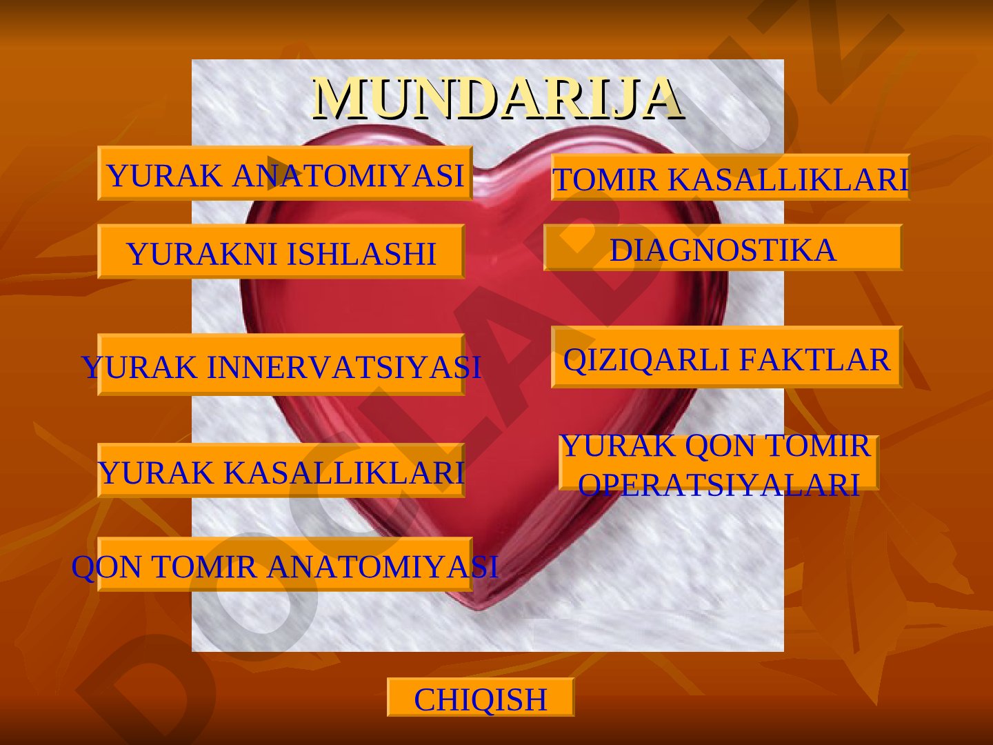 Yurak anatomiyasi va fiziologiyasi