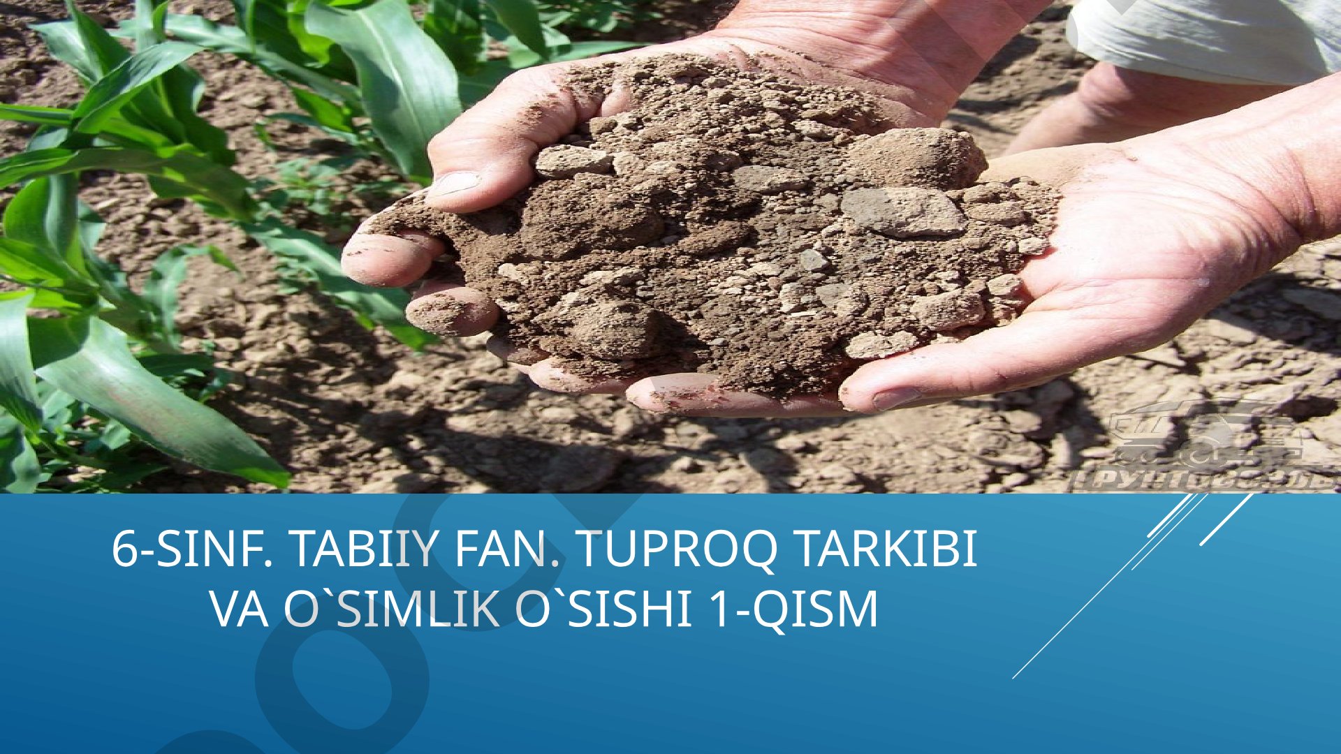 6-sinf Tabiiy fan: Tuproq tarkibi va o'simlik o'sishi