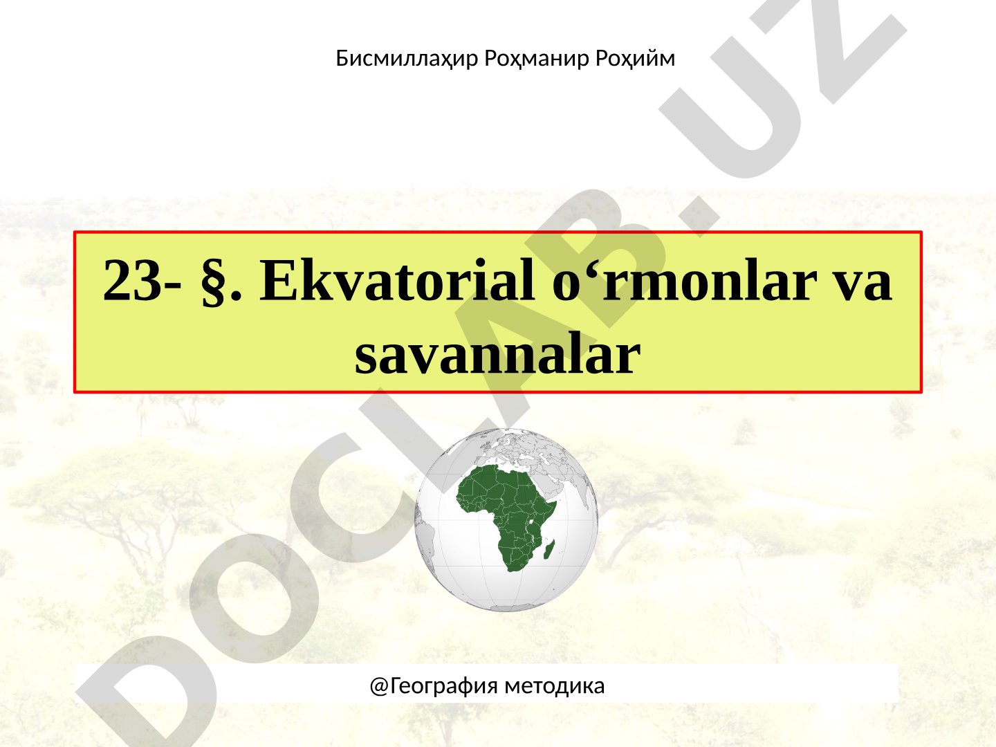 Ekvatorial o‘rmonlar va savannalar