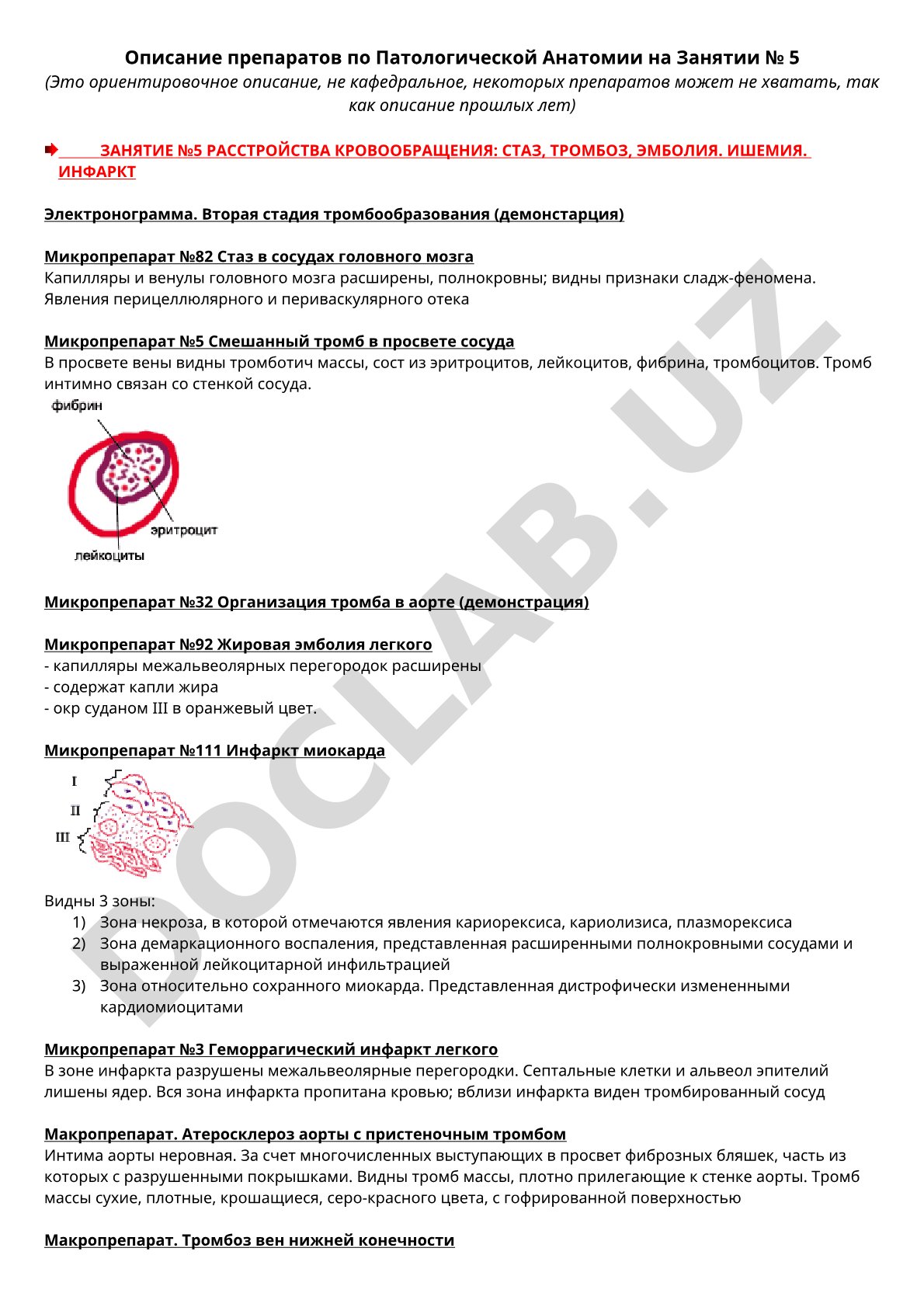 Расстройства кровообращения: стаз, тромбоз, эмболия, ишемия, инфаркт