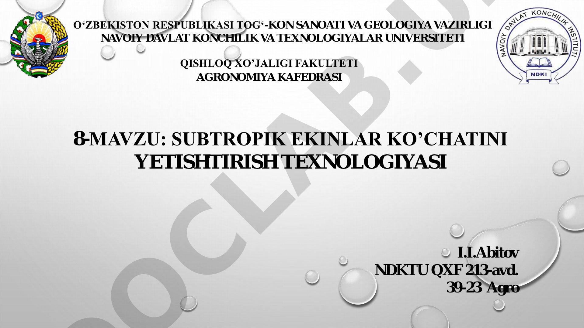 Subtropik ekinlar ko‘chatini yetishtirish texnologiyasi
