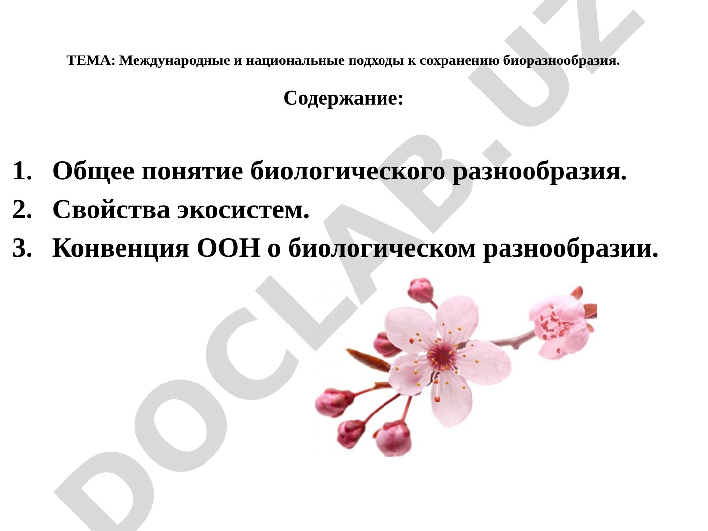 Международные и национальные подходы к сохранению биоразнообразия