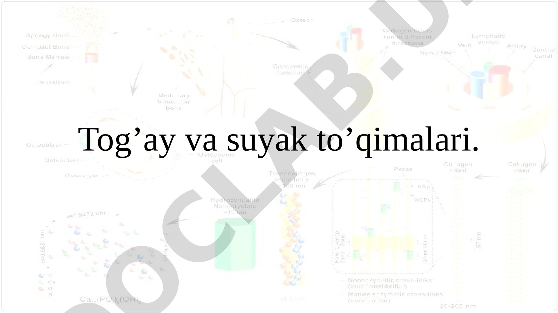 Tog'ay va suyak to'qimalari