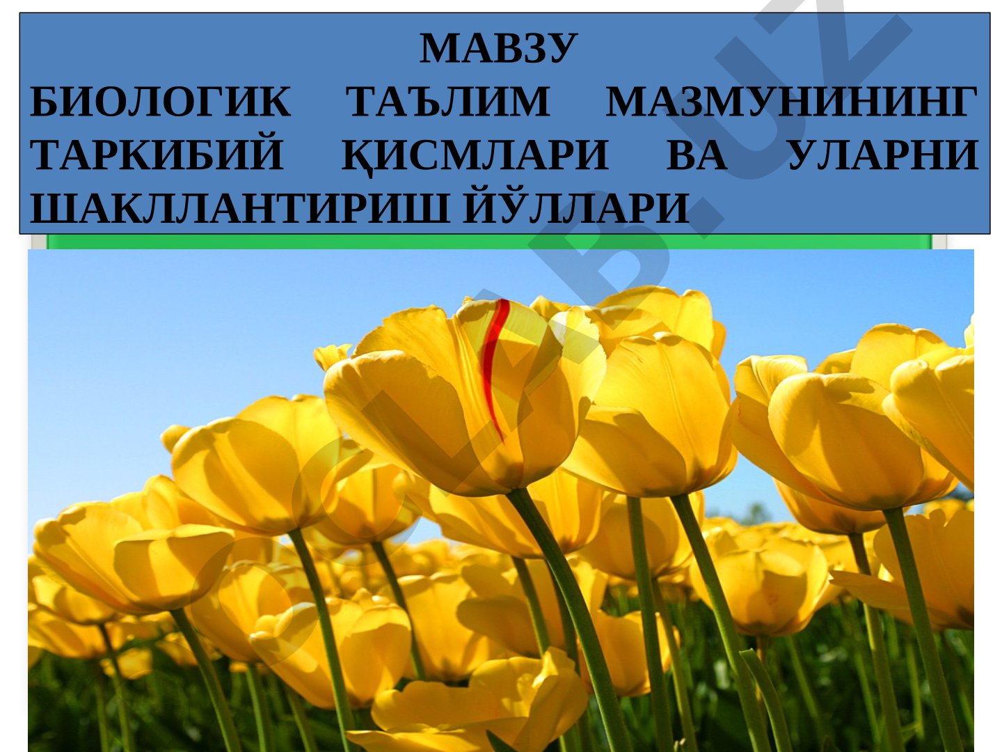 Биологик таълим мазмунининг таркибий қисмлари ва уларни шакллантириш йўллари