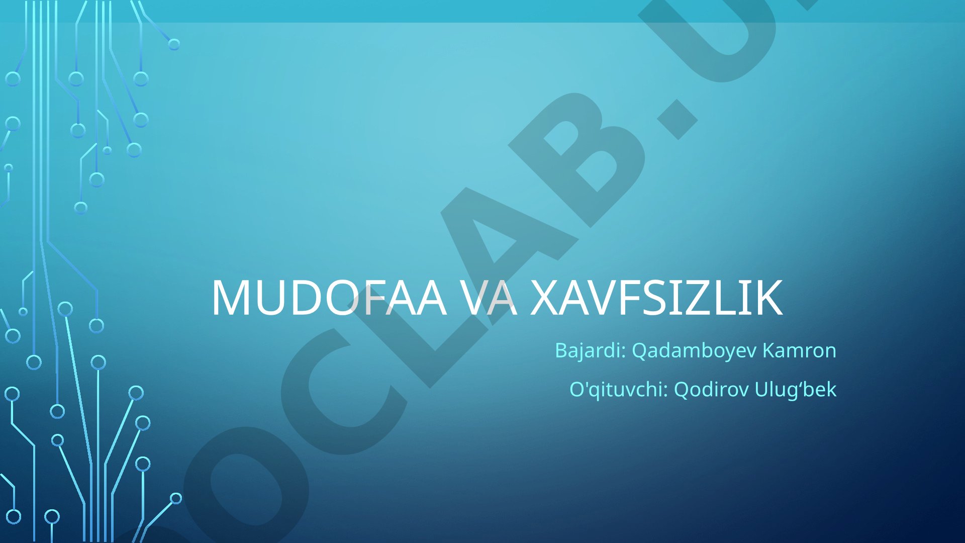 Mudofaa va xavfsizlik