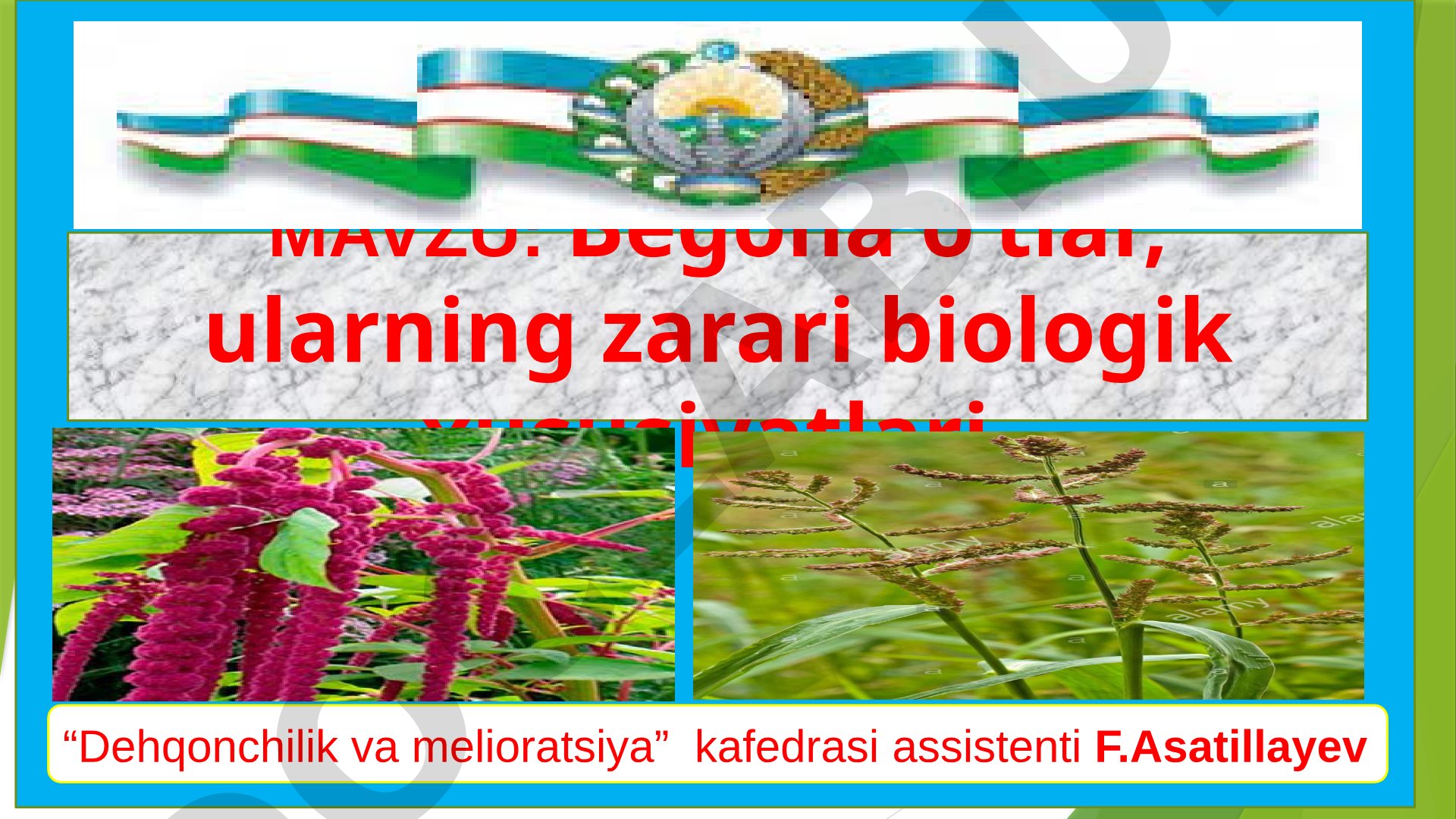 Begona o‘tlar, ularning zarari biologik xususiyatlari