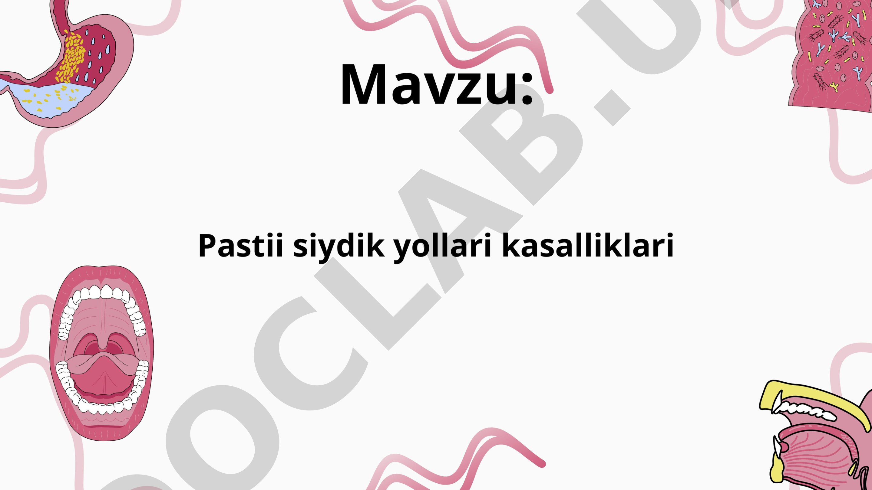 Pastii siydik yollari kasalliklari