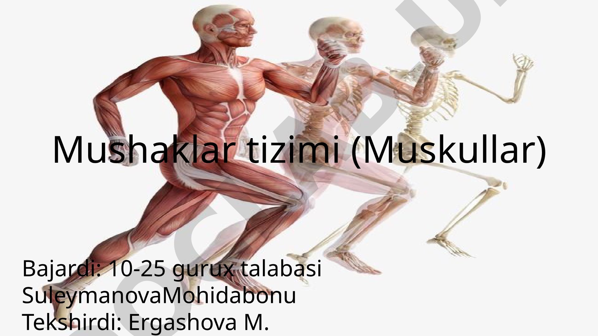 Mushaklar tizimi (Muskullar)