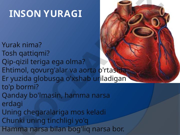 Yurak-qon tomir kasalliklarining sabablari va oldini olish