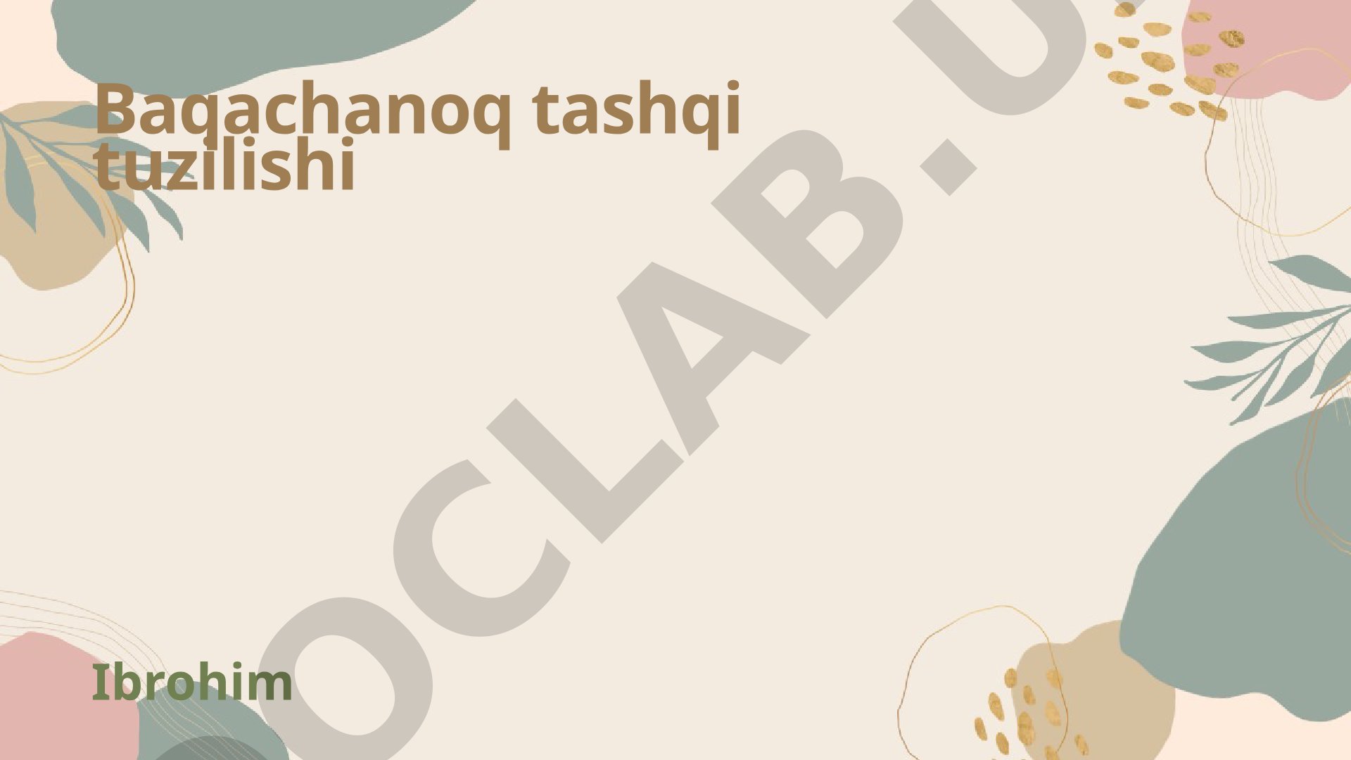 Baqachanoq tashqi tuzilishi