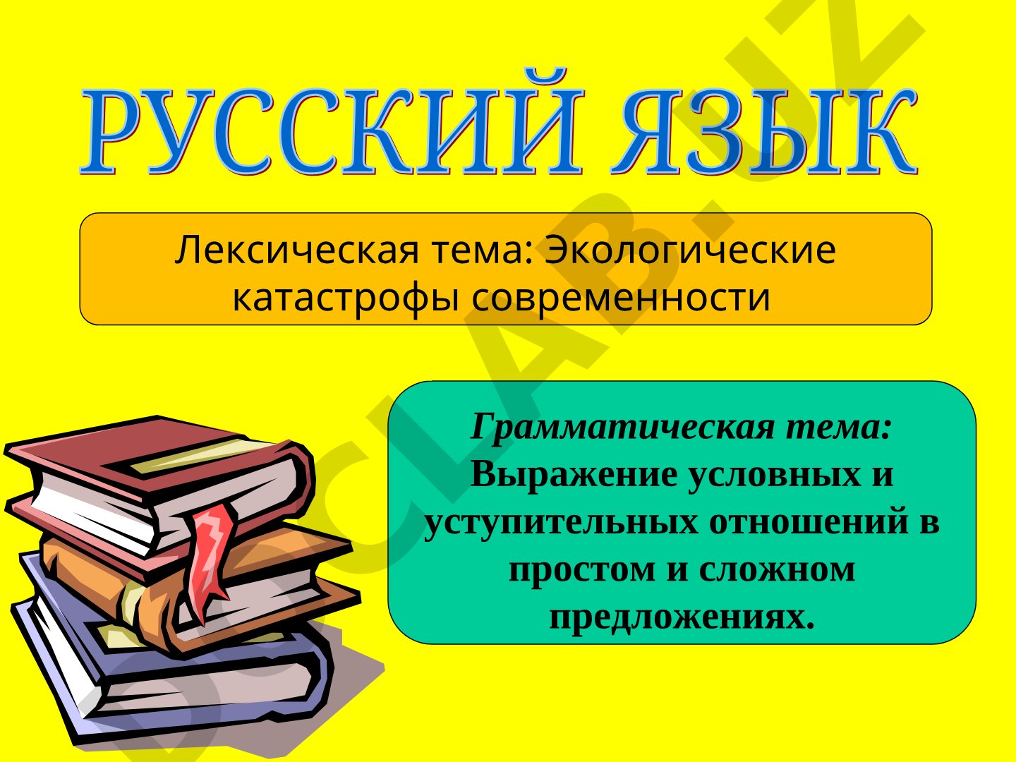 Экологические катастрофы современности