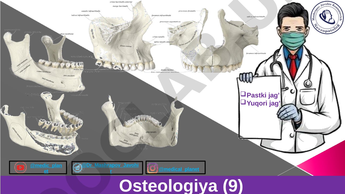 Osteologiya: Pastki jag' va Yuqori jag' anatomiyasi