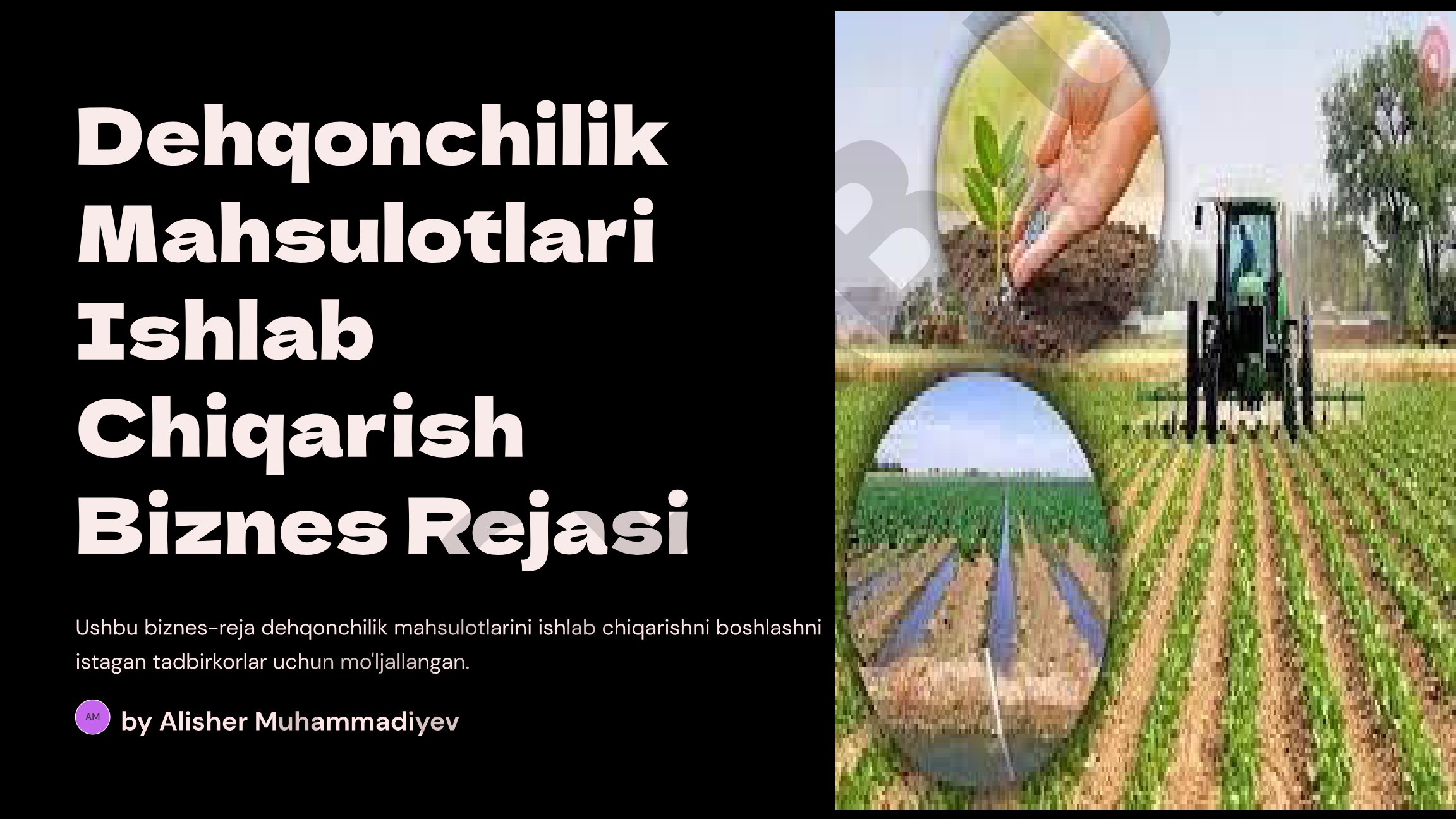 Dehqonchilik Mahsulotlari Ishlab Chiqarish Biznes Rejasi