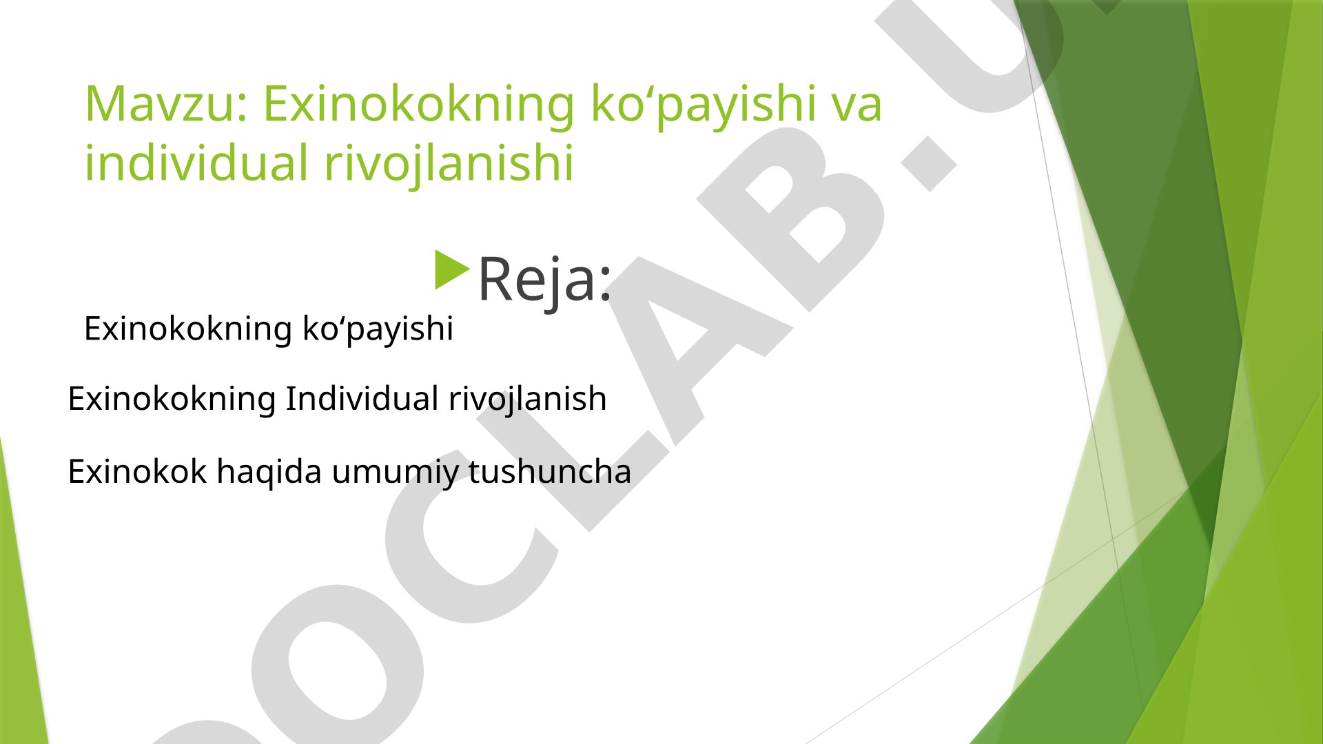 Exinokokning koʻpayishi va individual rivojlanishi
