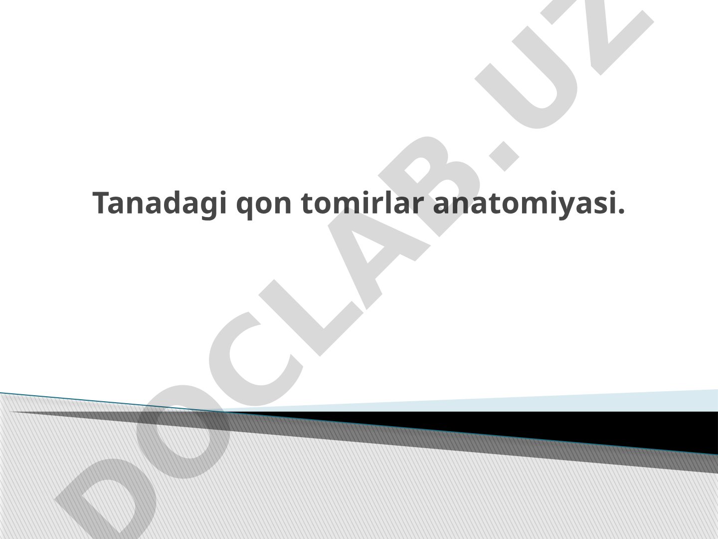 Tanadagi qon tomirlar anatomiyasi.