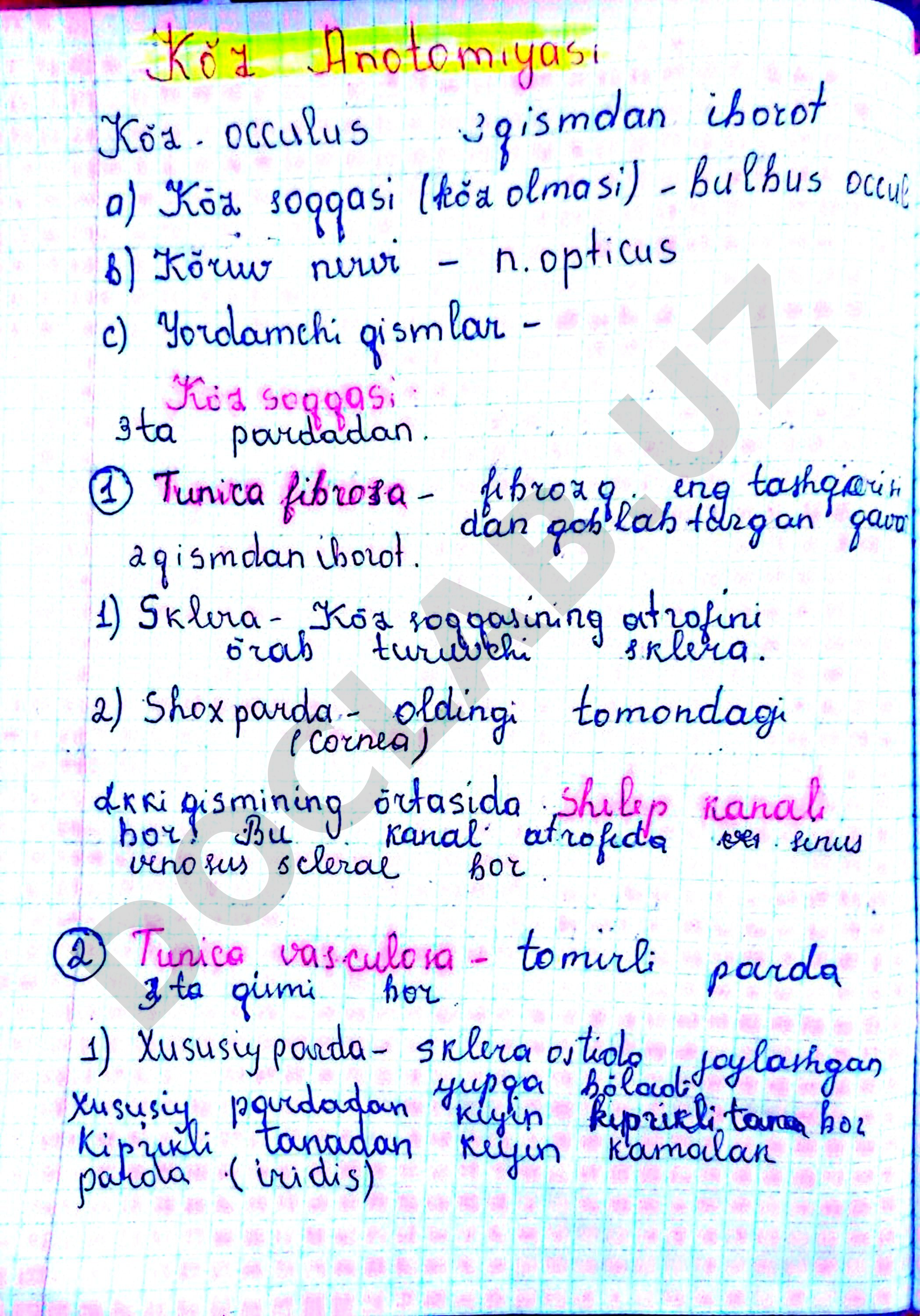 Matnsiz PDF material