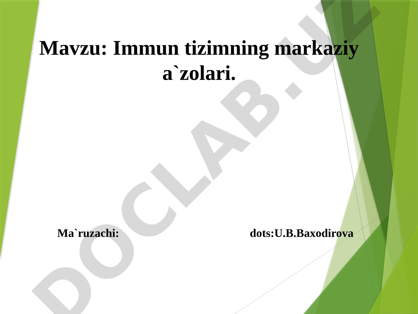 Immun tizimning markaziy a'zolari