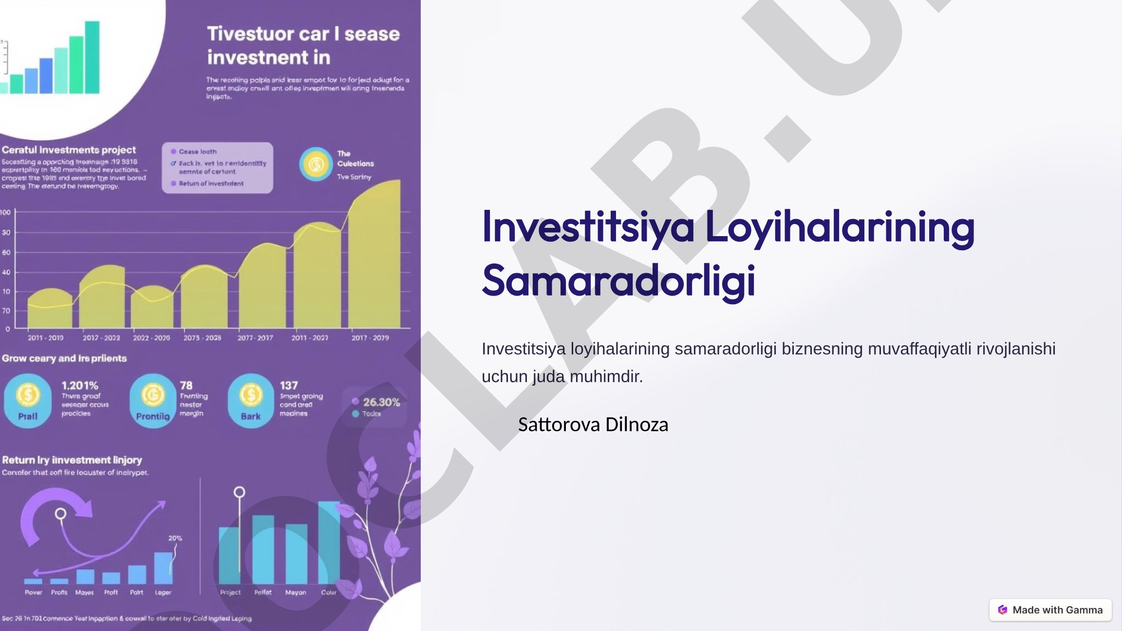 Investitsiya loyihalari samaradorligi, baholash mezonlari va risklarni boshqarish