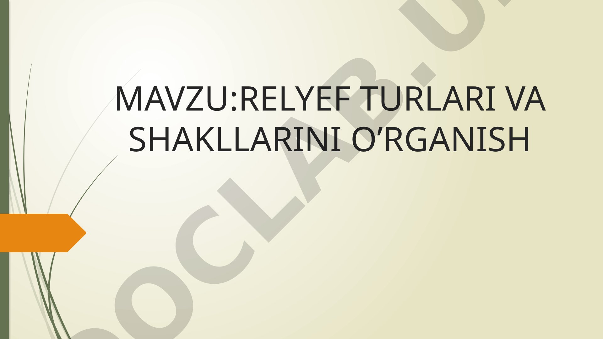 Relyef turlari va shakllarini o'rganish