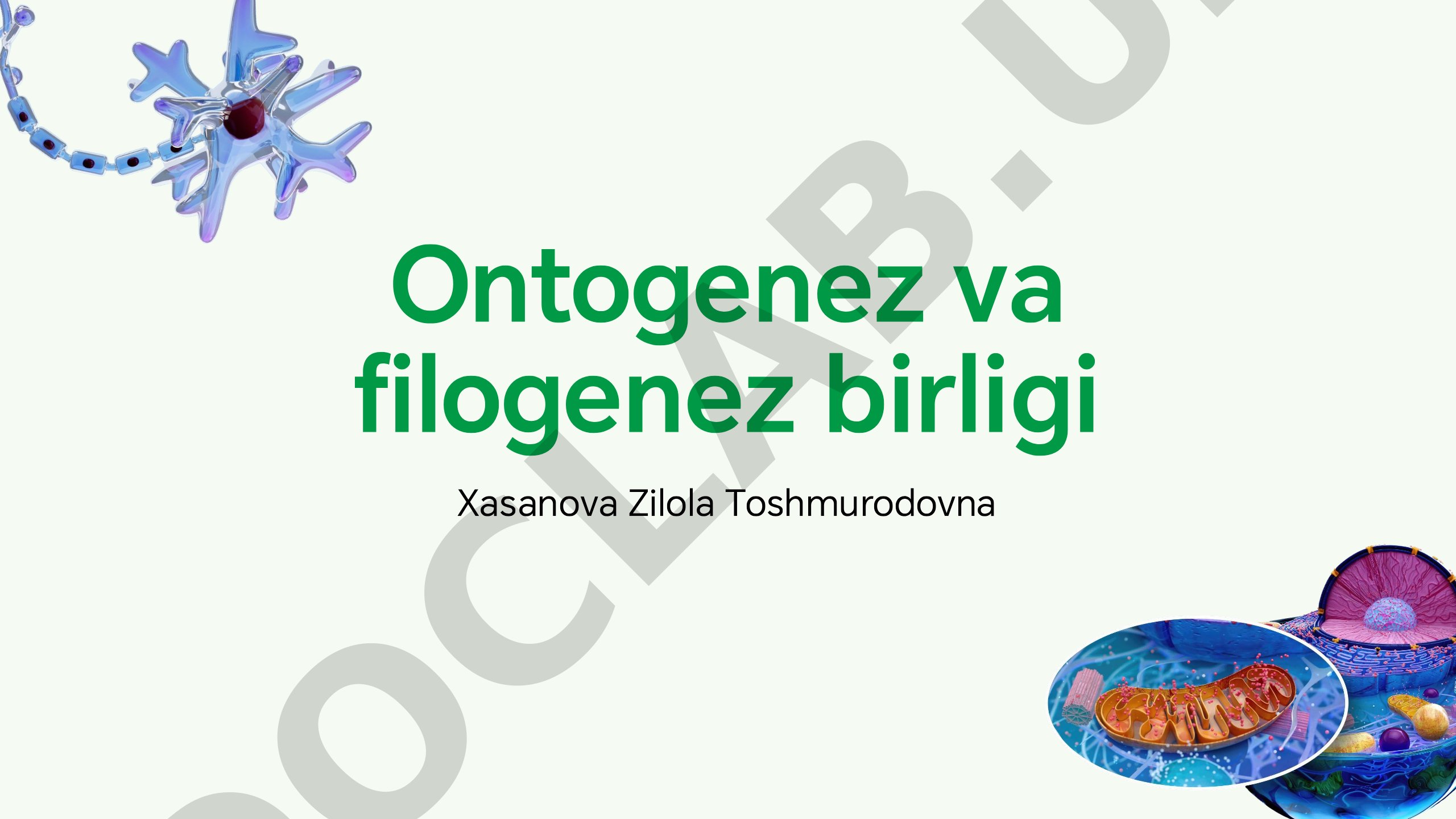 Ontogenez va filogenez birligi
