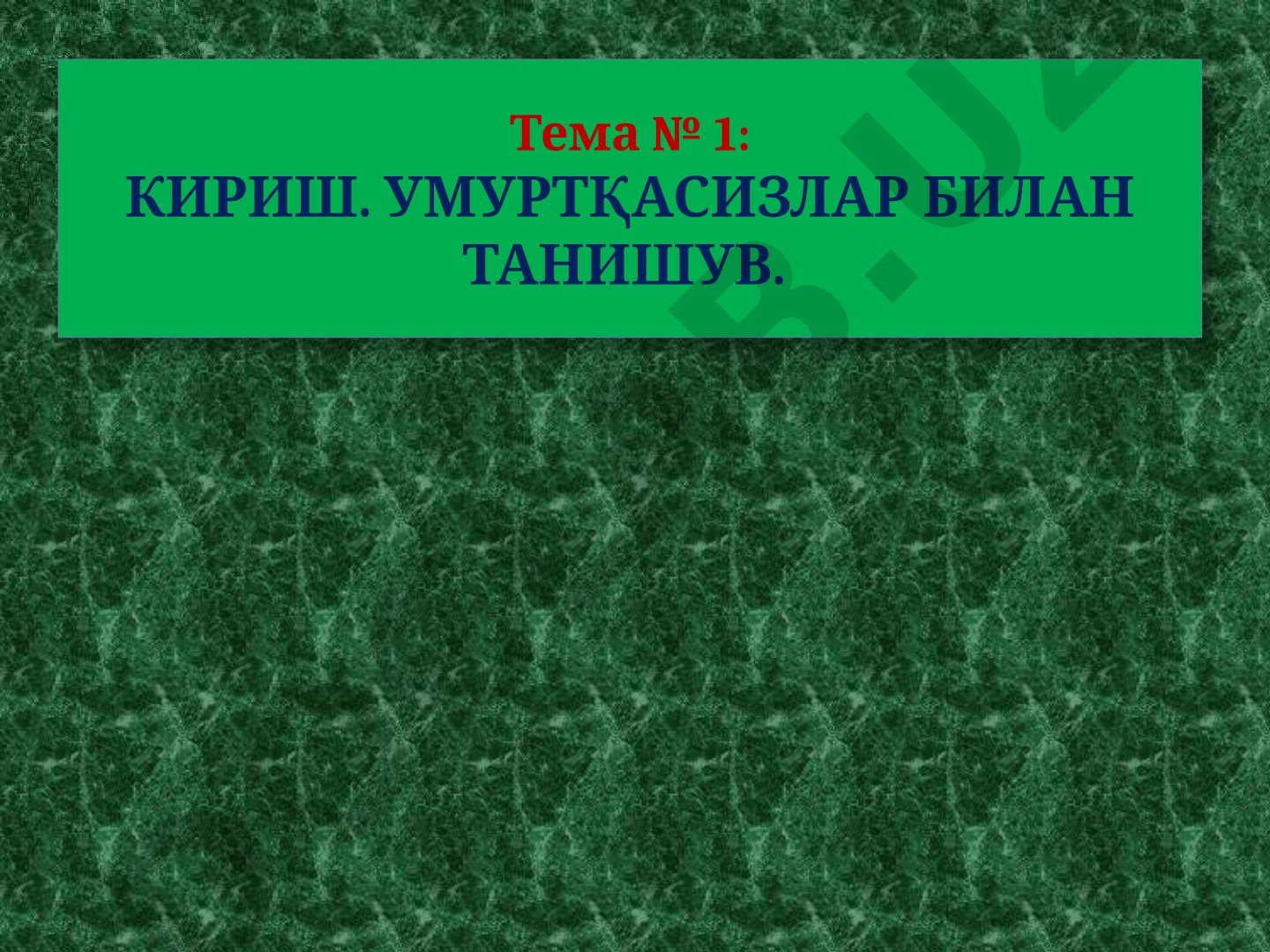 Umurtqasizlar bilan tanishuv. Protozoologiya