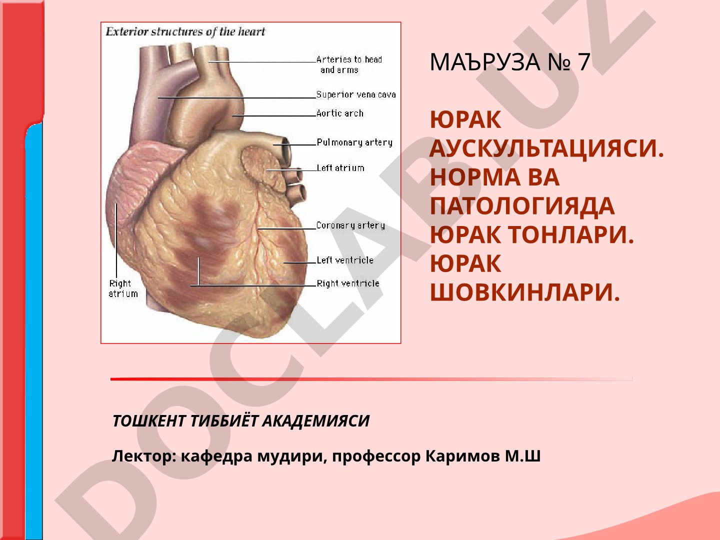 Yurak auskultatsiyasi: norma va patologiyada yurak tonlari hamda shovqinlari