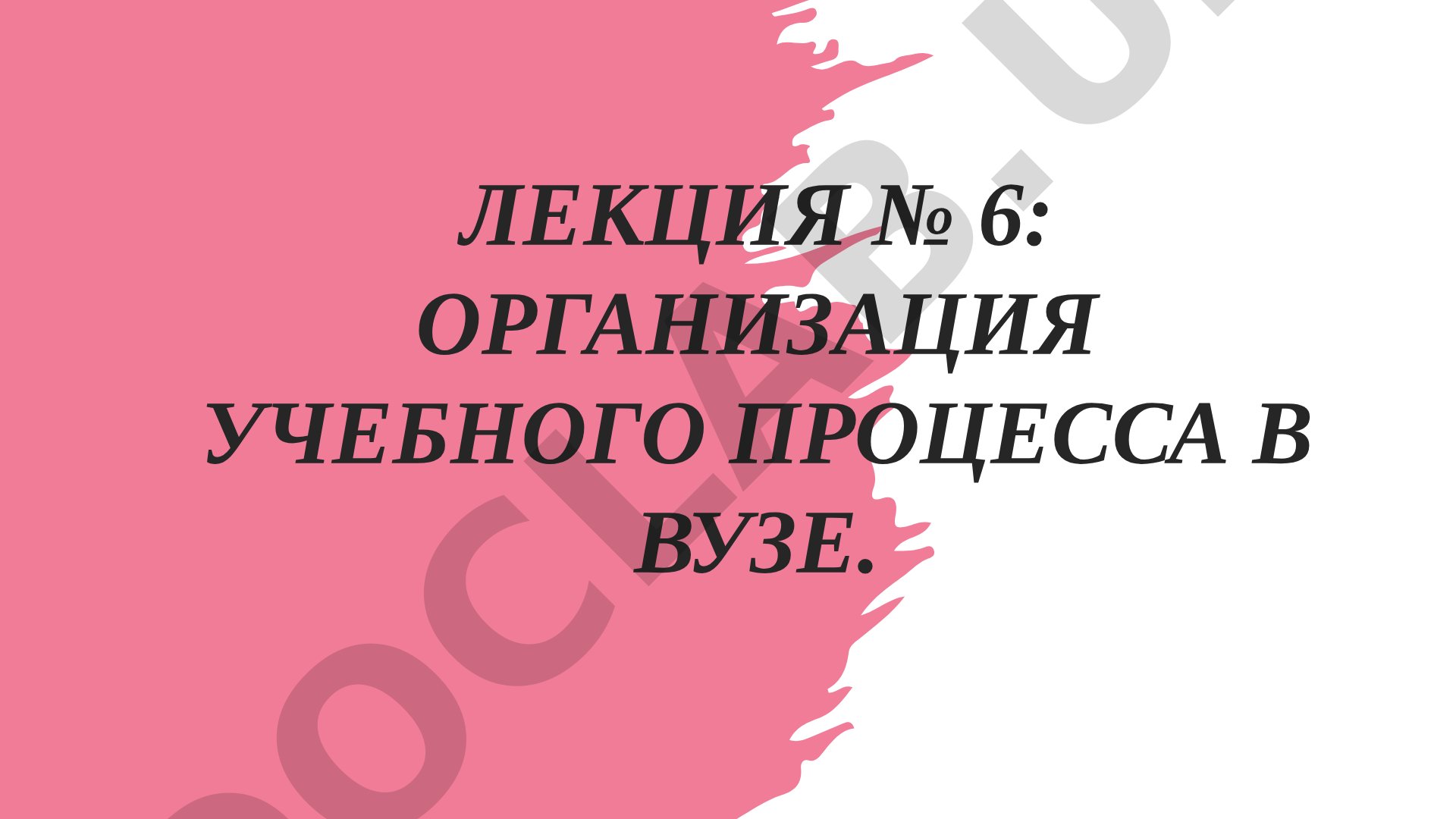 Организация учебного процесса в вузе