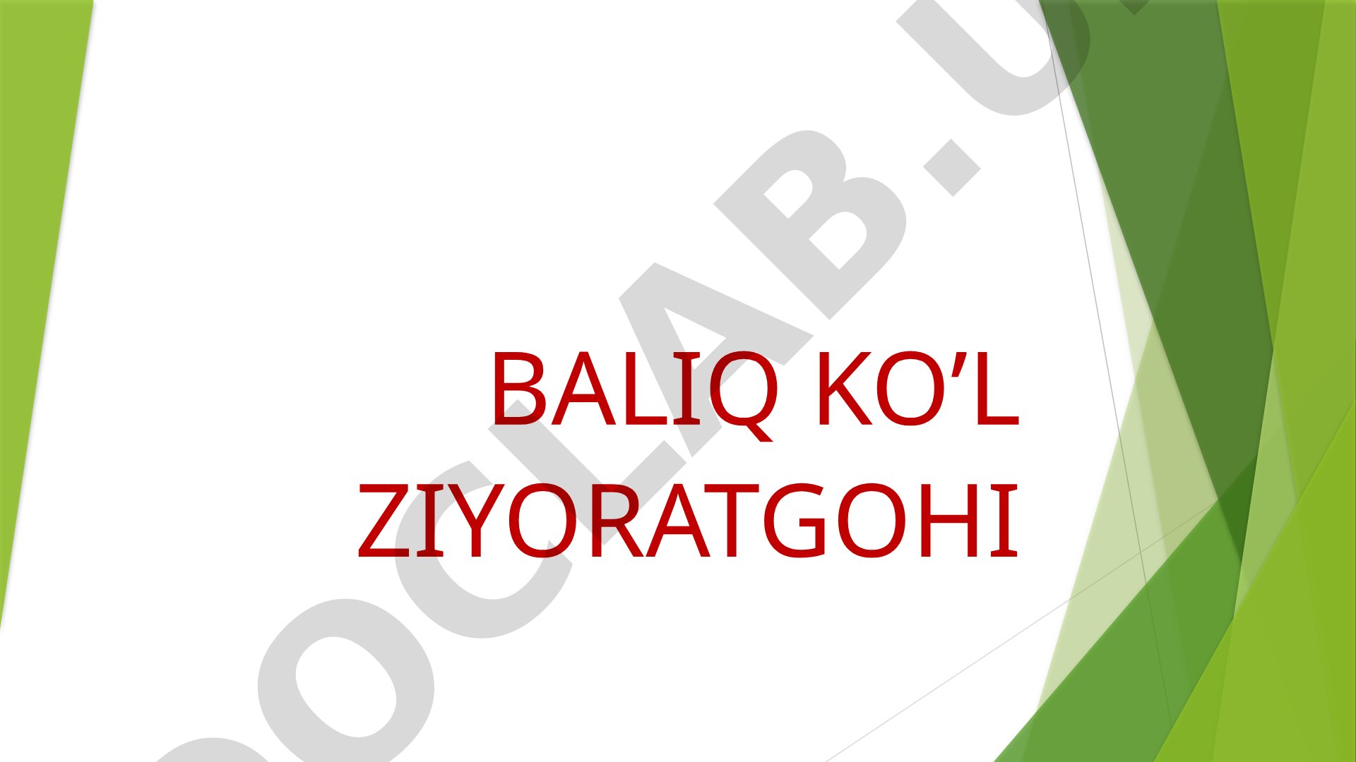 Baliq ko'l ziyoratgohi - Sulton Uvays Qaroni majmuasi