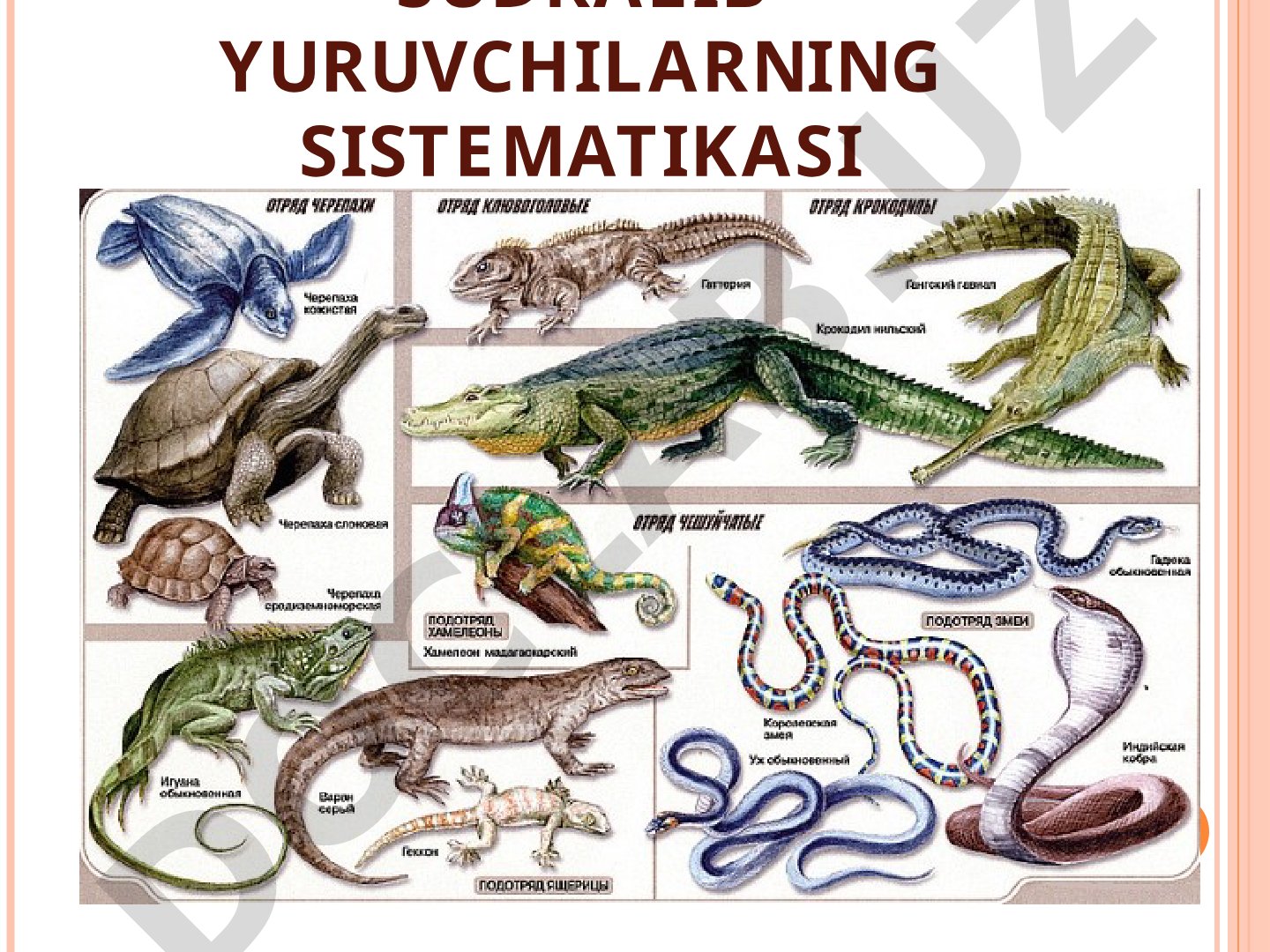 Sudralib yuruvchilarning sistematikasi