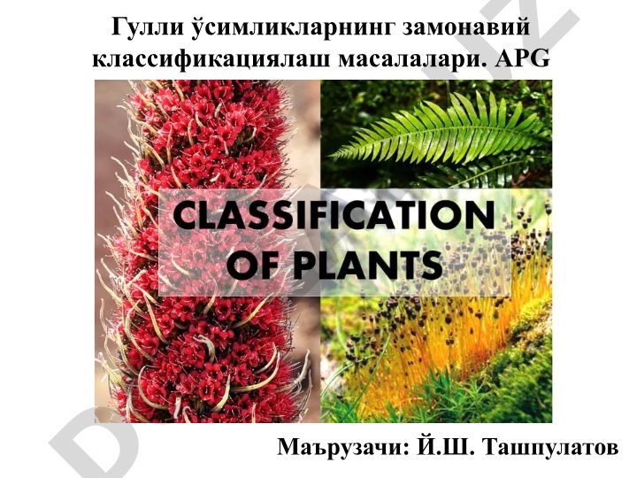 Гулли ўсимликларнинг замонавий классификациялаш масалалари