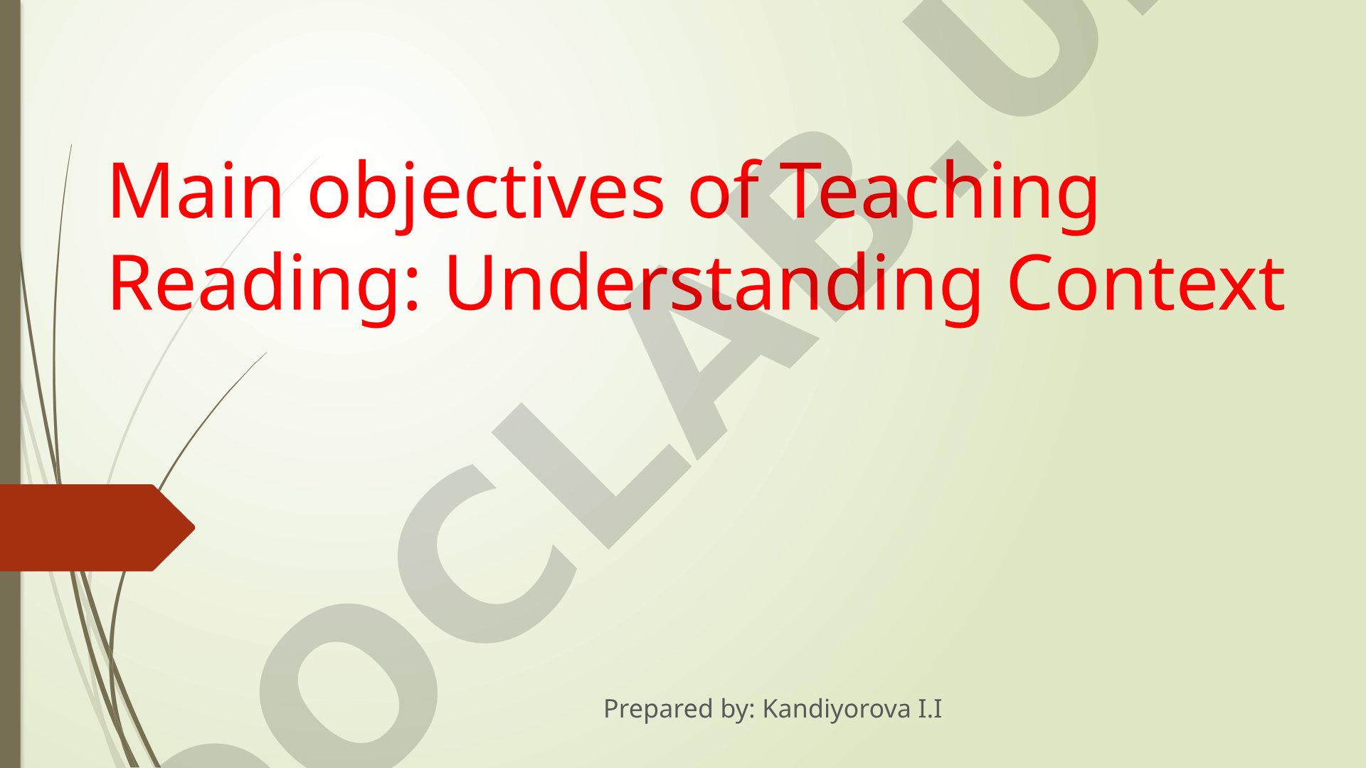 Main objectives of Teaching Reading: Understanding Context