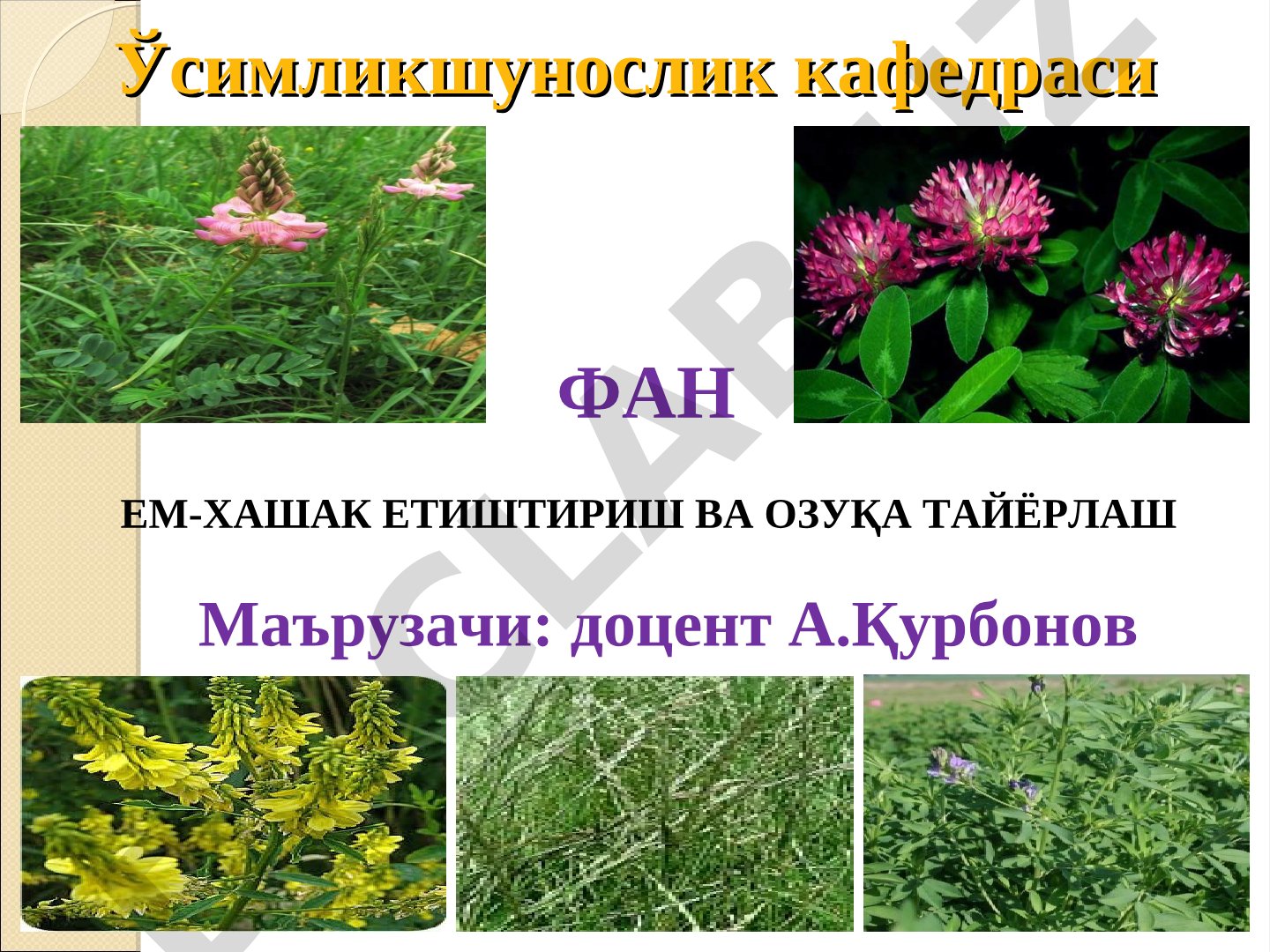 Фаннинг моҳияти, унинг мақсади ва вазифалари