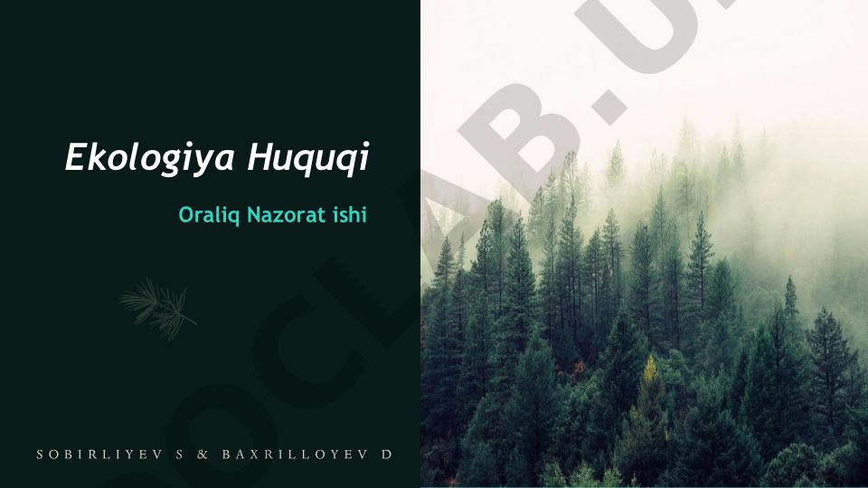 Ekologiya Huquqi Oraliq Nazorat ishi
