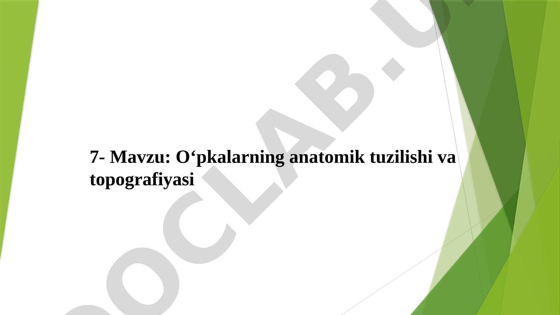 O'pkalarning anatomik tuzilishi va topografiyasi