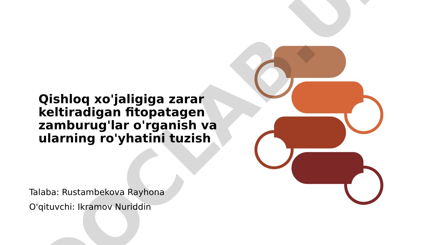 Qishloq xo'jaligiga zarar keltiradigan fitopatagen zamburug'lar o'rganish va ularning ro'yhatini tuzish