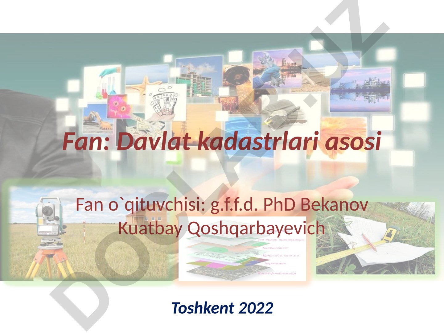 Davlat o'rmon kadastri