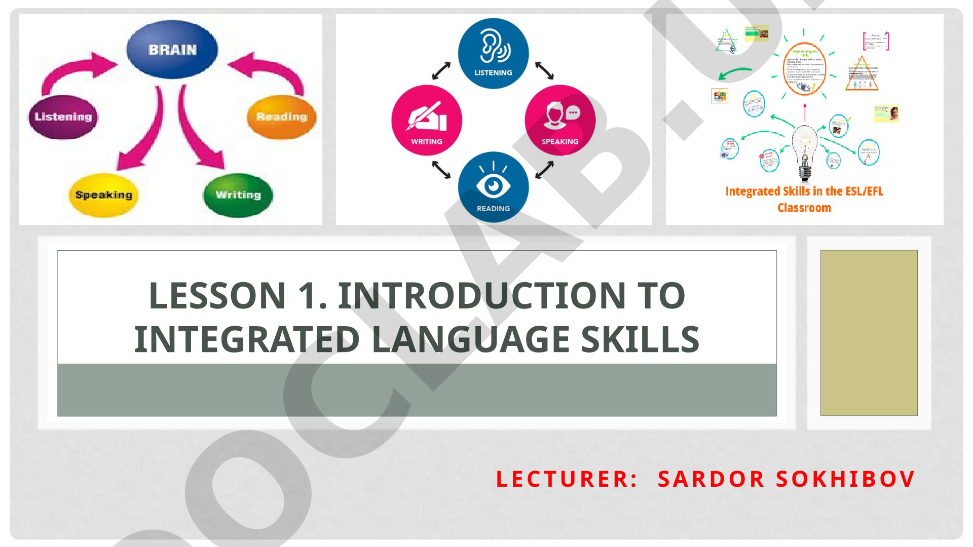 Introduction to Integrated Language Skills