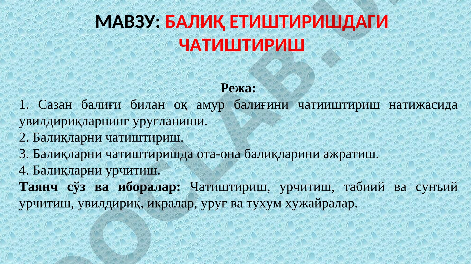 БАЛИҚ ЕТИШТИРИШДАГИ ЧАТИШТИРИШ
