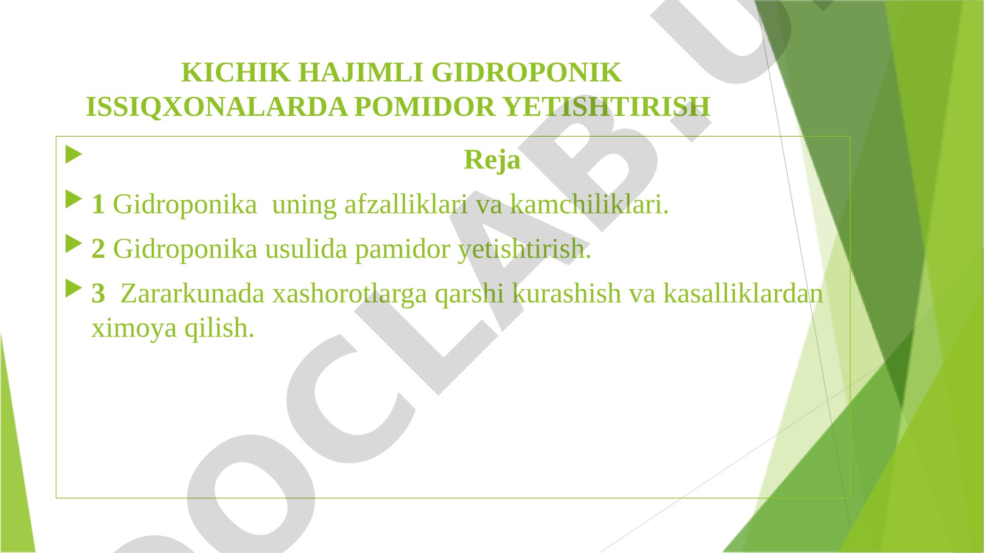 Kichik hajimli gidroponik issiqxonalarda pomidor yetishtirish
