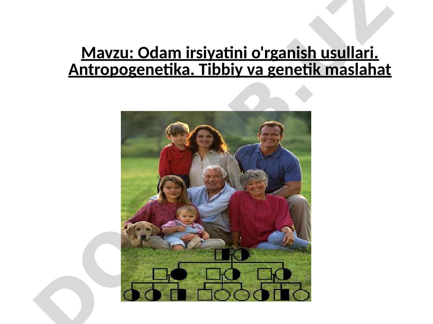 Odam irsiyatini o'rganish usullari. Antropogenetika. Tibbiy va genetik maslahat
